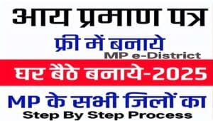 MP e-District Income Certificate